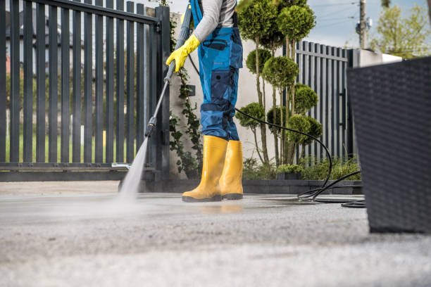 Professional  Pressure Washing Services in St Marys, WV